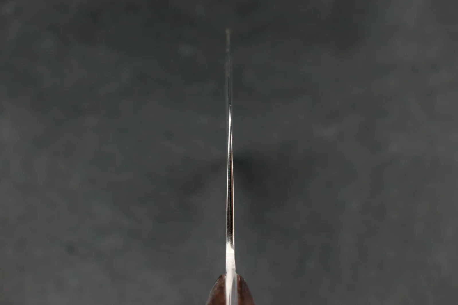 Anryu Hamono Katsukiri Bocho 300mm - Image 5
