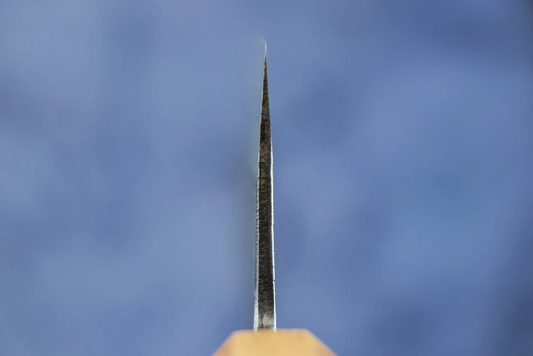 Fujimoto Kurouchi-Forged Gyuto 240mm - Image 3