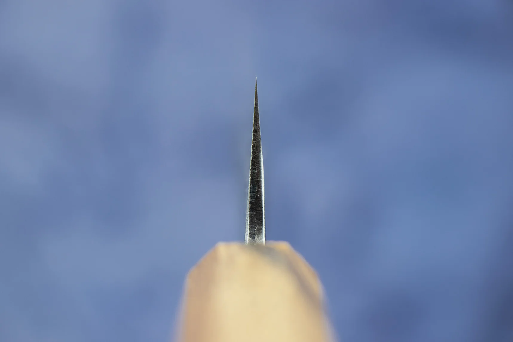 Fujimoto Kurouchi-Forged Sujihiki 240mm - Image 3
