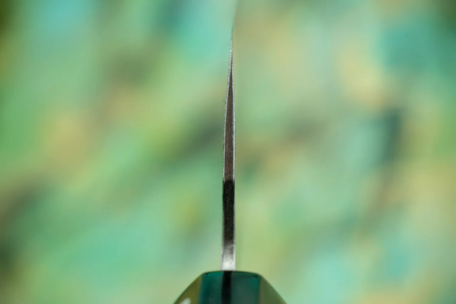 Fujiwara Wa Denka Gyuto 240mm - Image 3