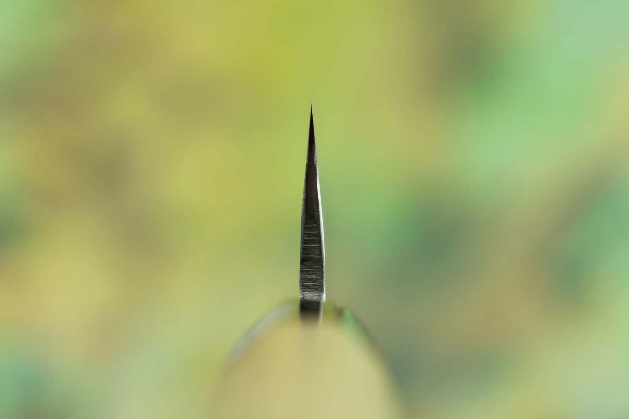 Fujiwara Wa Denka Petty 120mm - Image 3
