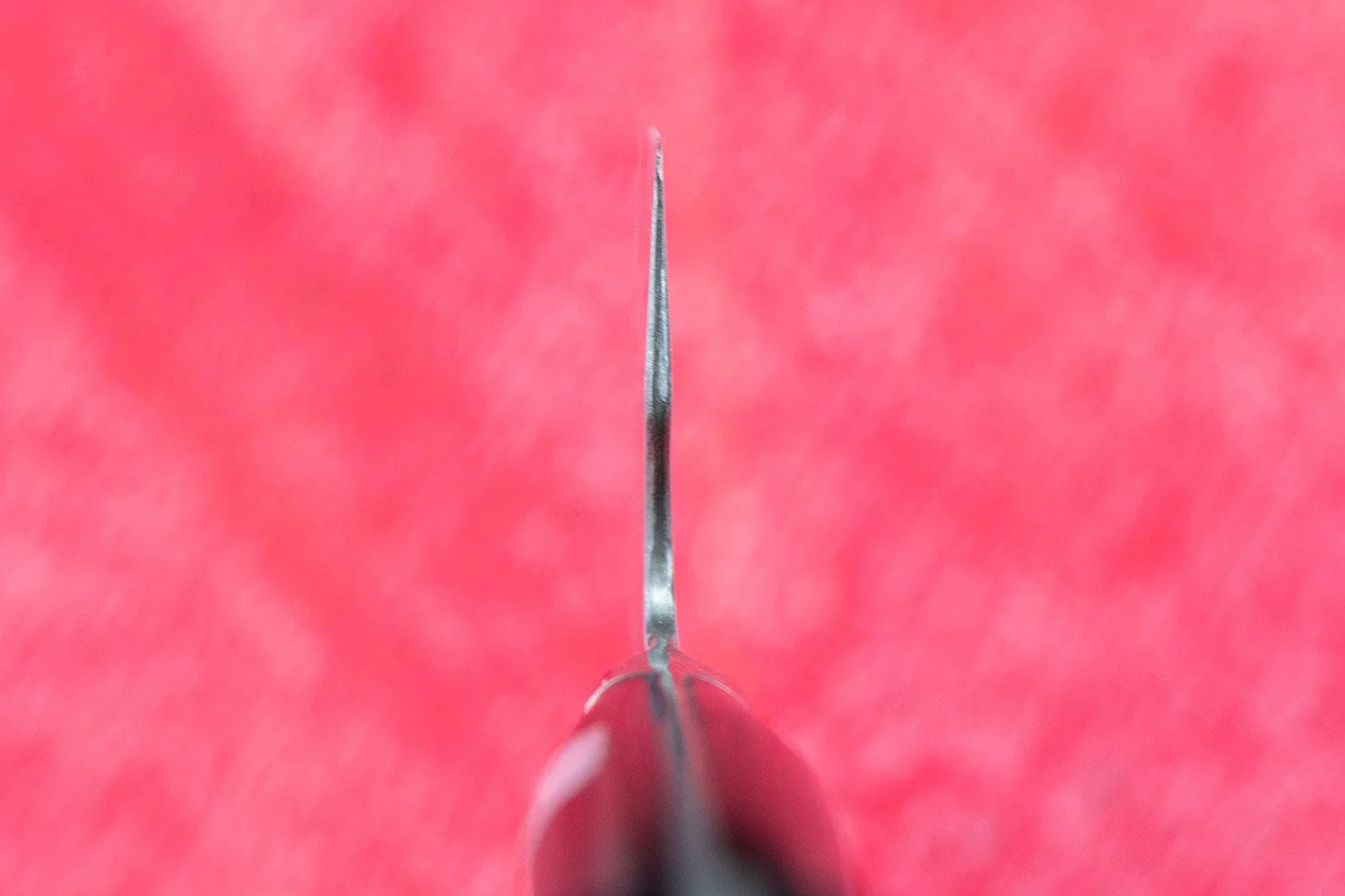 Fujiwara Maboroshi Gyuto 195mm - Image 3