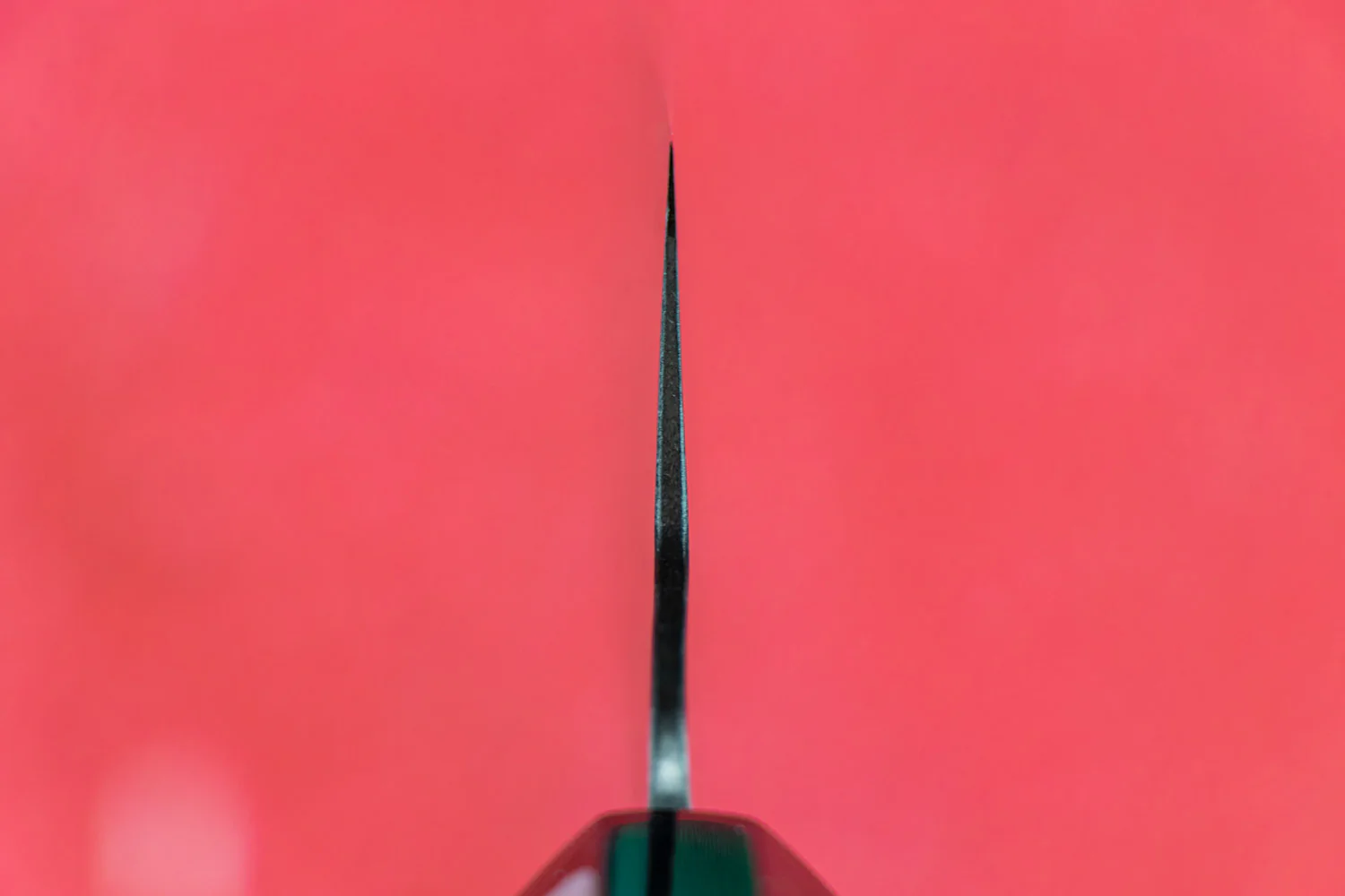 Fujiwara Maboroshi Wa Gyuto 210mm - Image 3