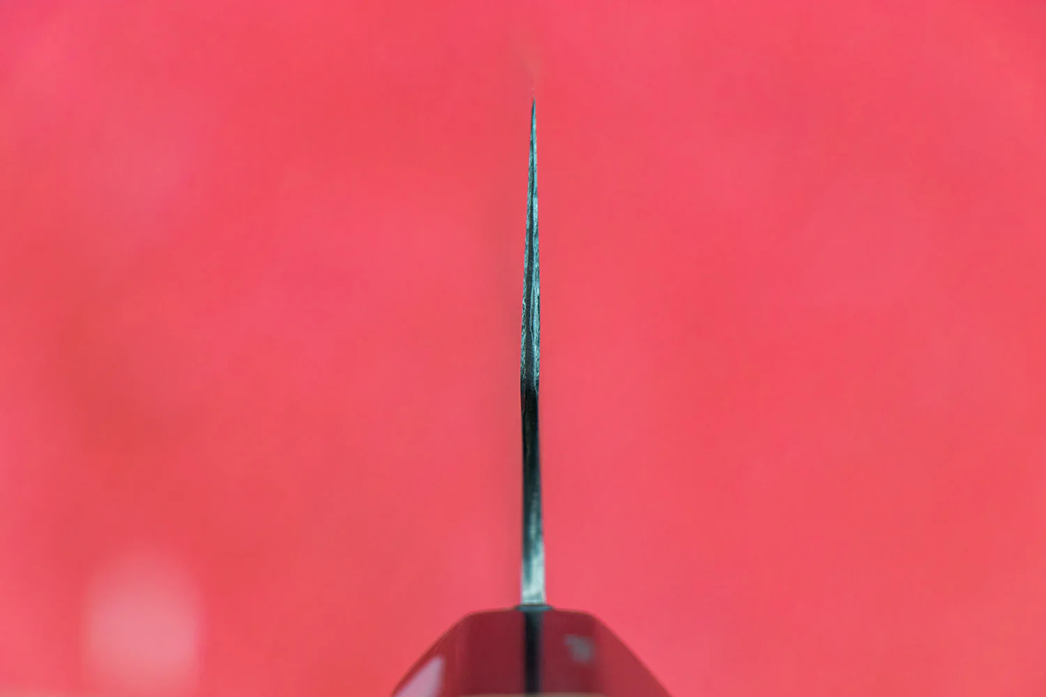 Fujiwara Maboroshi Wa Gyuto 240mm - Image 3