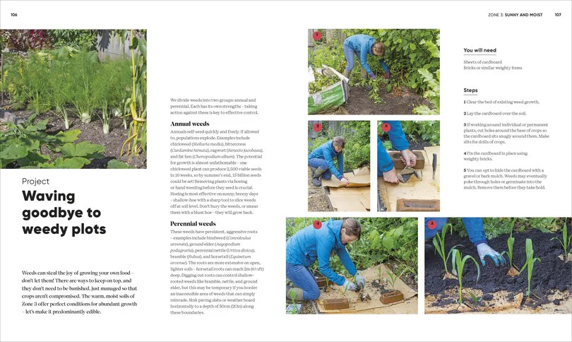 Grow Food Anywhere - Image 2