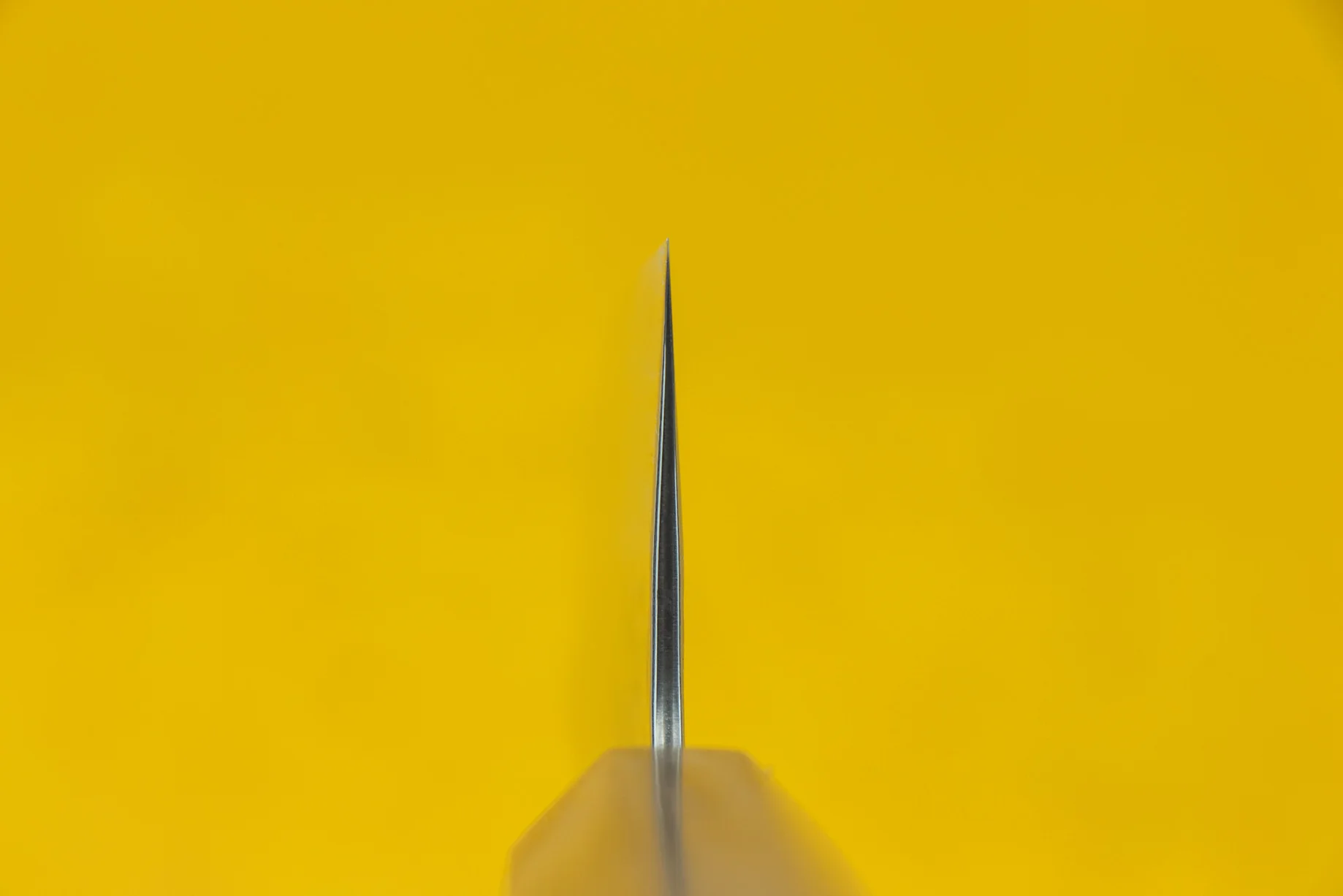 Haruyuki Nagisa Gyuto 210mm - Image 3