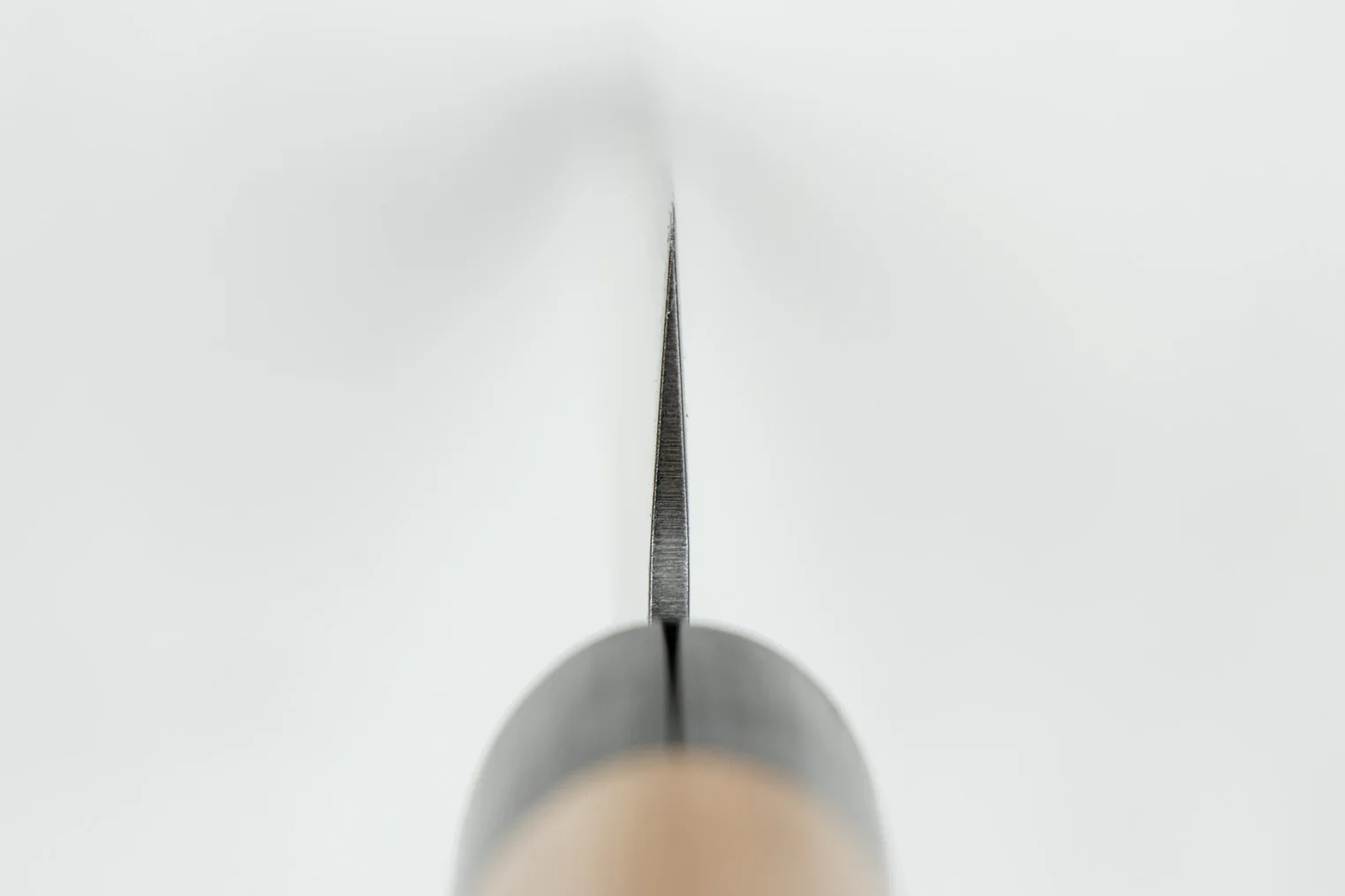 Haruyuki Kokuto Sujihiki 240mm - Image 3