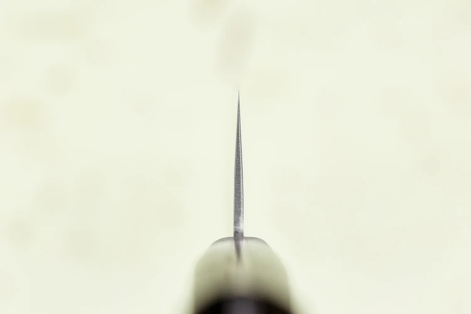 Haruyuki Mugi Gyuto 210mm - Image 3