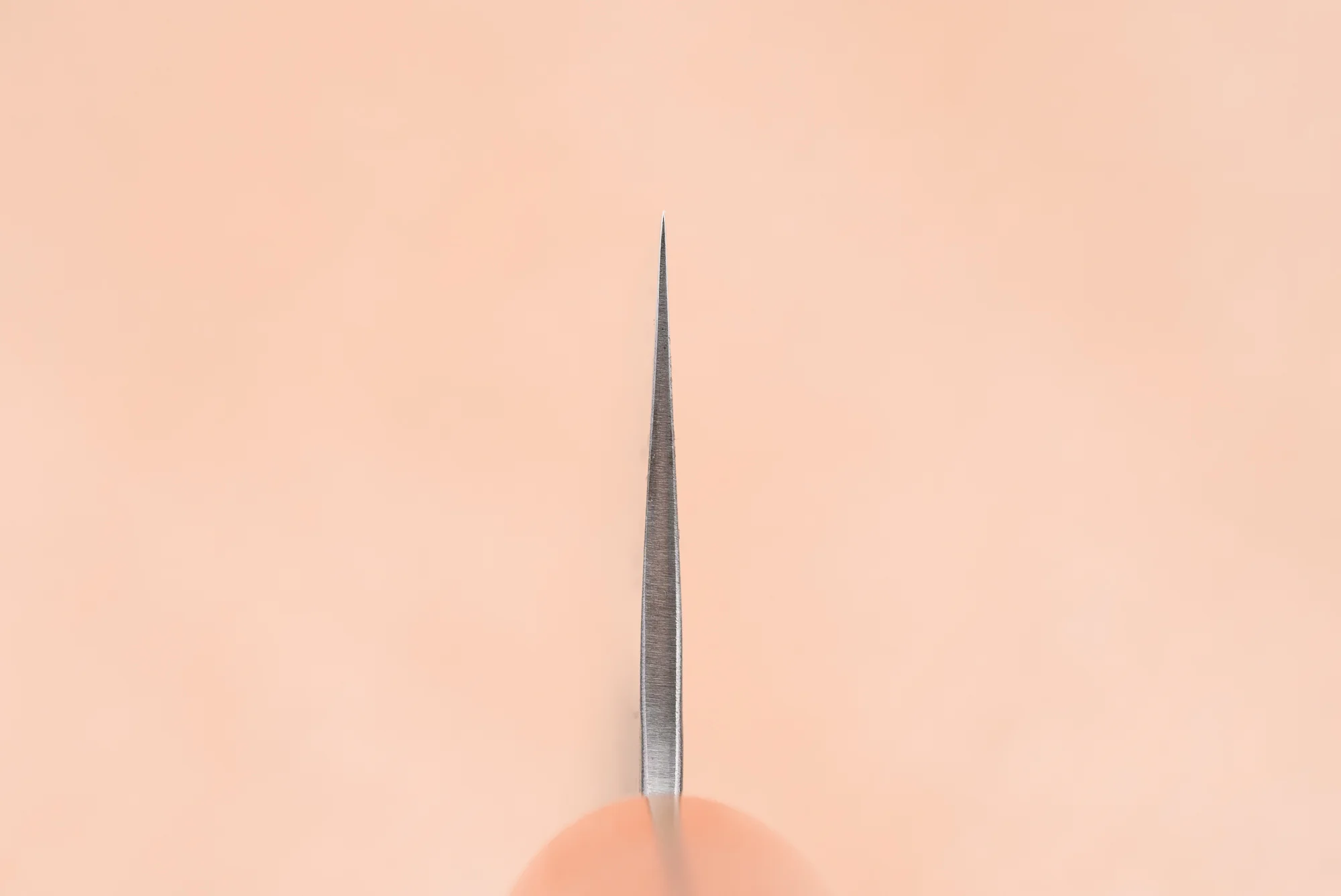 Haruyuki Nishiki Gyuto 210mm - Image 3