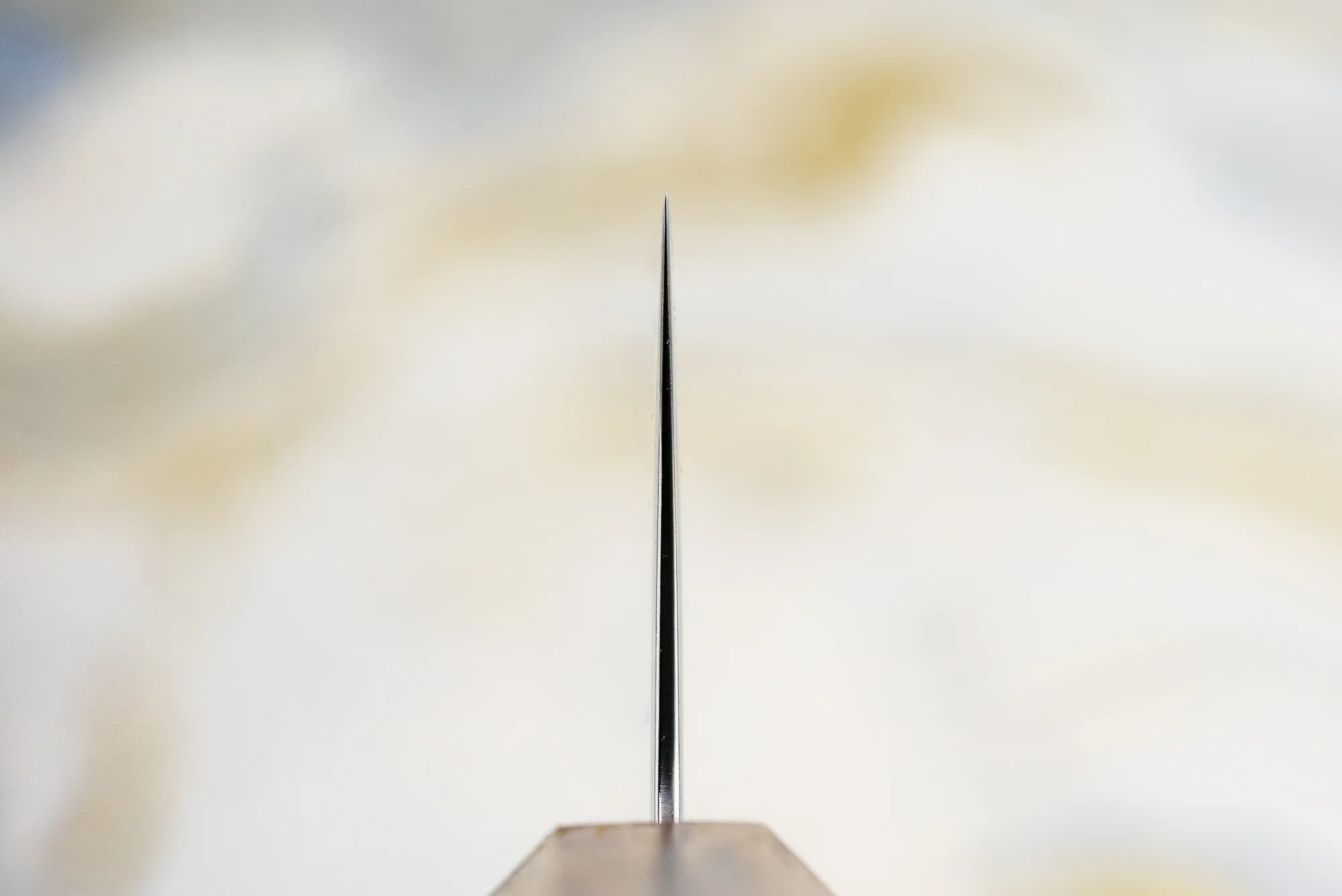 Haruyuki Zanpa Gyuto 210mm - Image 3