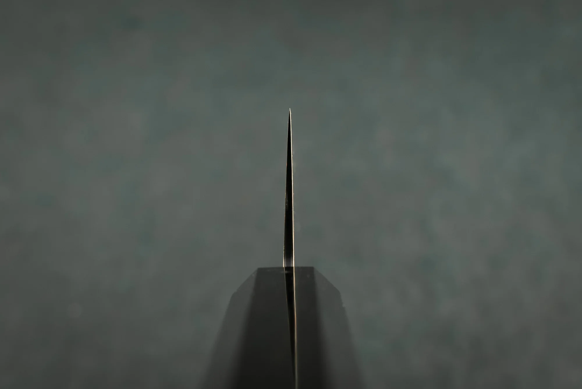 Hatsukokoro Hayabusa Aogami Rainbow Damascus Gyuto 210mm - Image 3