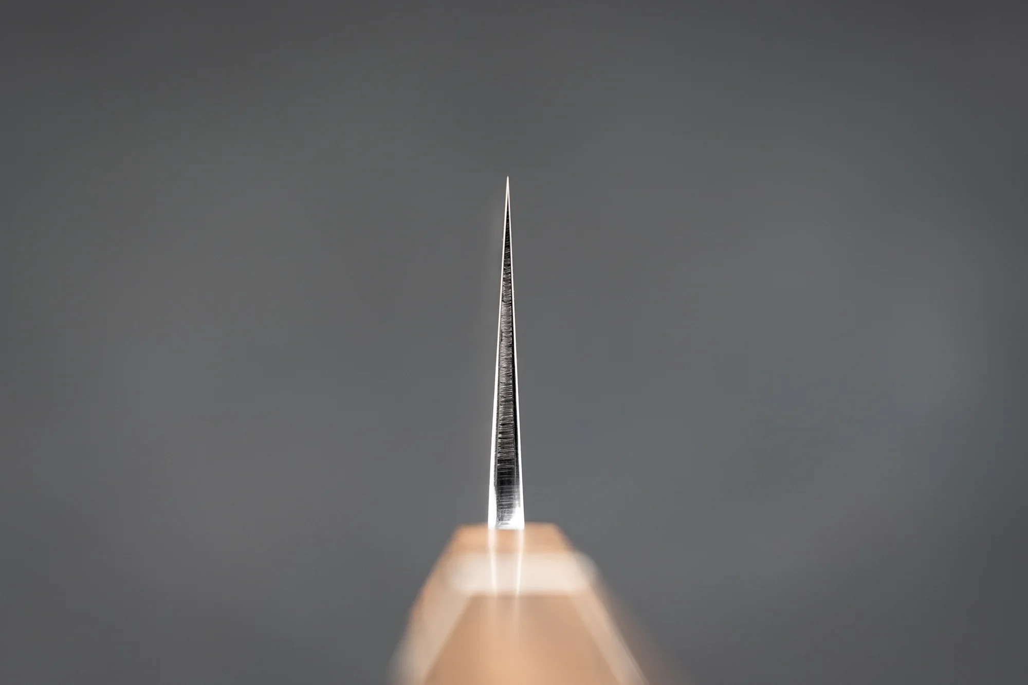 Hatsukokoro Hyomon Shirogami Damascus Gyuto 210mm - Image 5