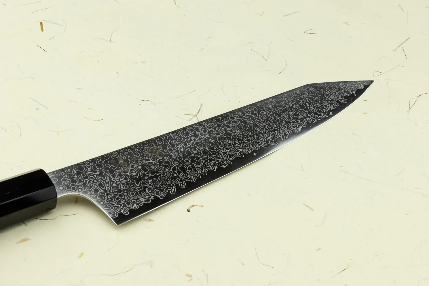 Hatsukokoro Saihyo SG2 Kiritsuke 210mm - Image 2