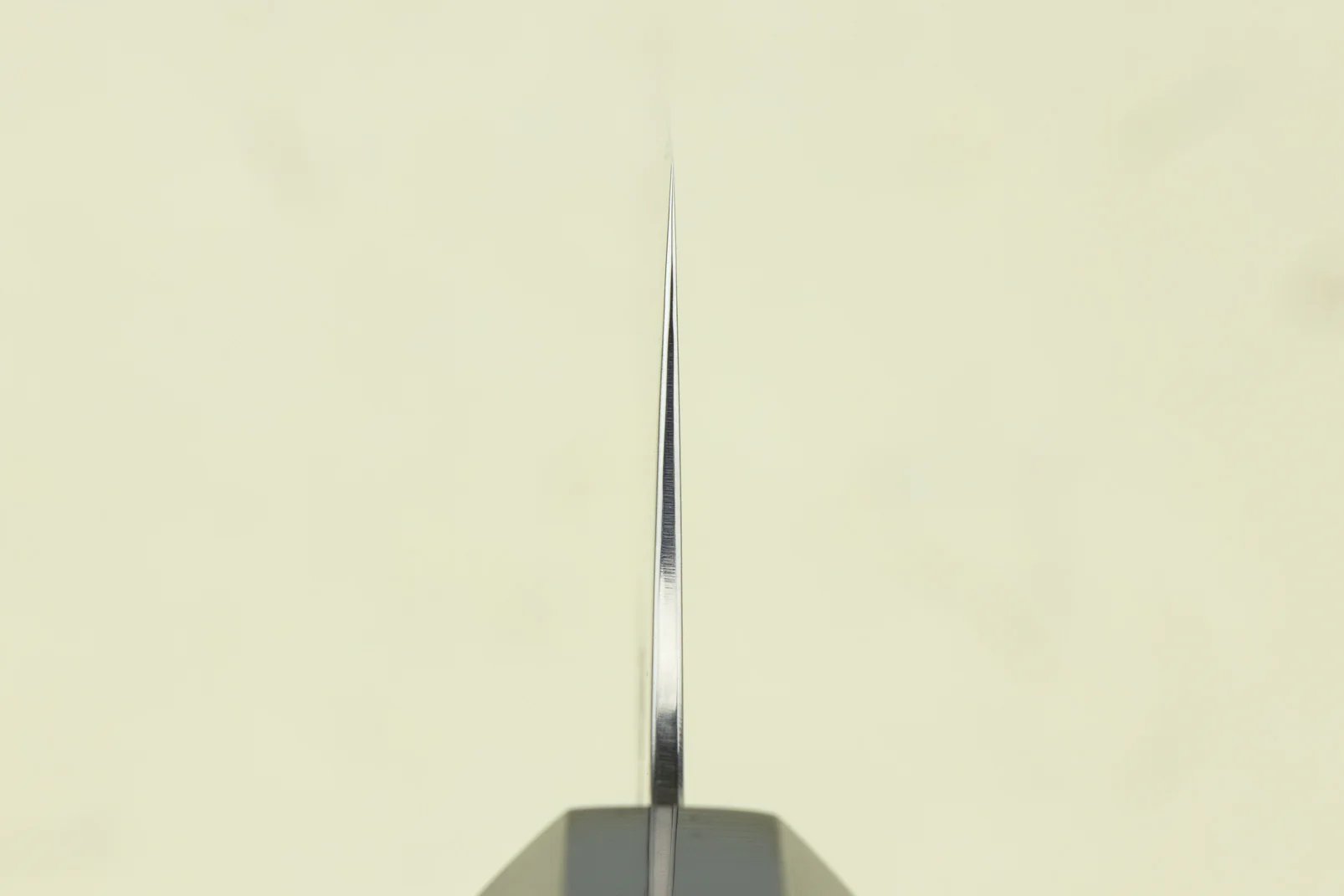 Hatsukokoro Saihyo SG2 Kiritsuke 210mm - Image 3