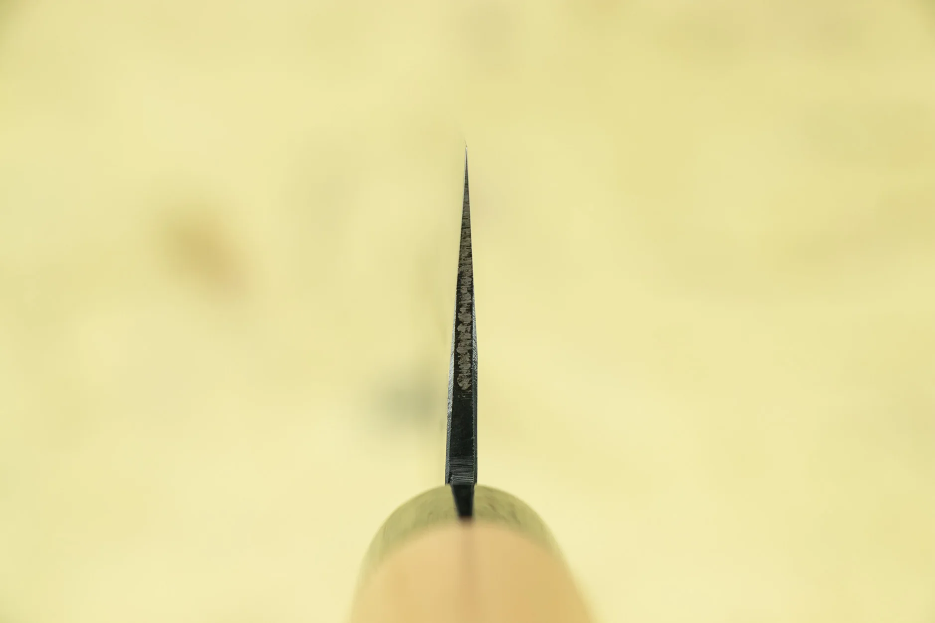 Yukihiro Sakai ”Hinokuni" Shiroichi Gyuto 210mm - Image 3