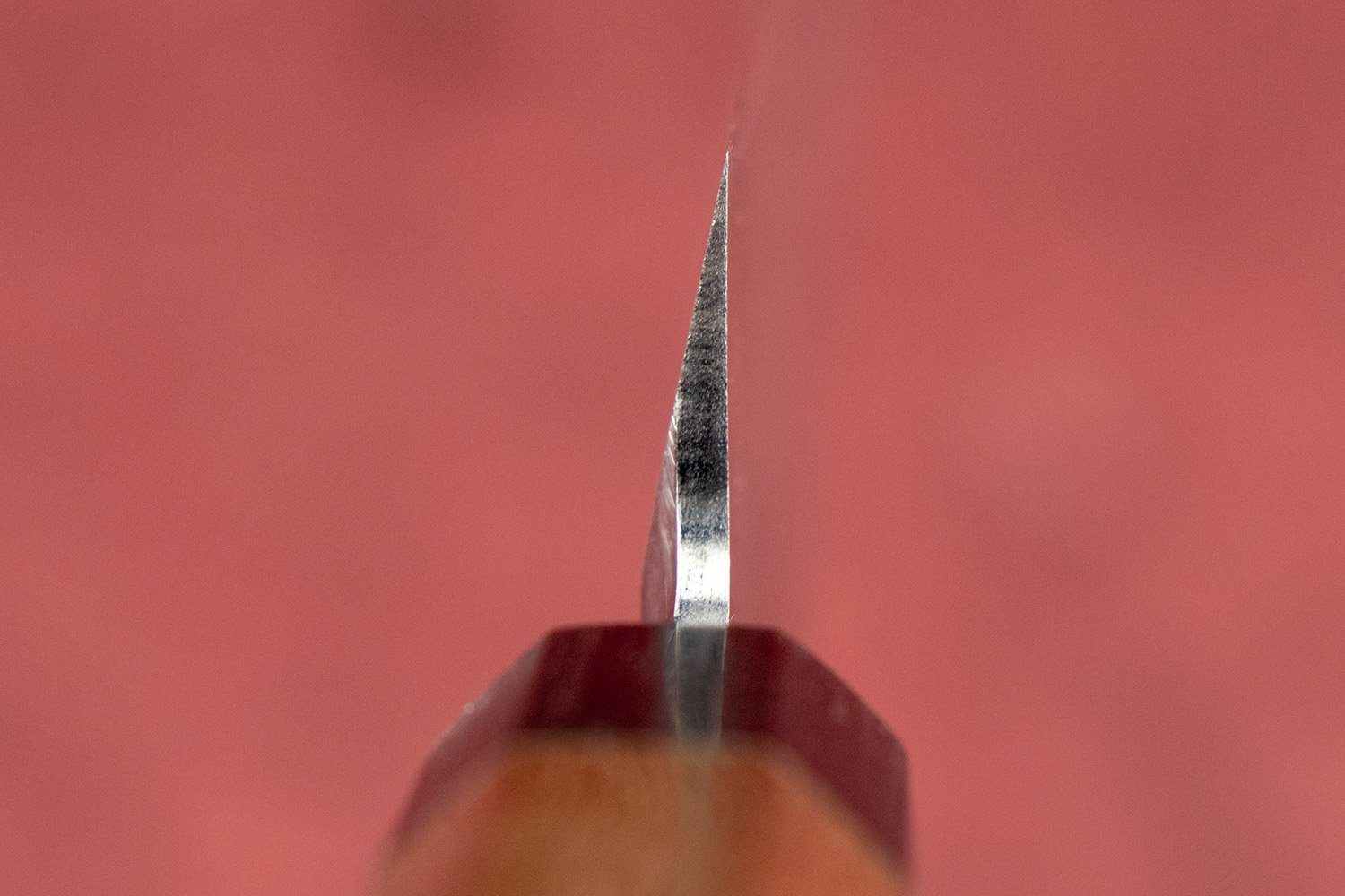 Shibata Koutetsu SRS13 Migaki Yanagiba 270mm - Image 5