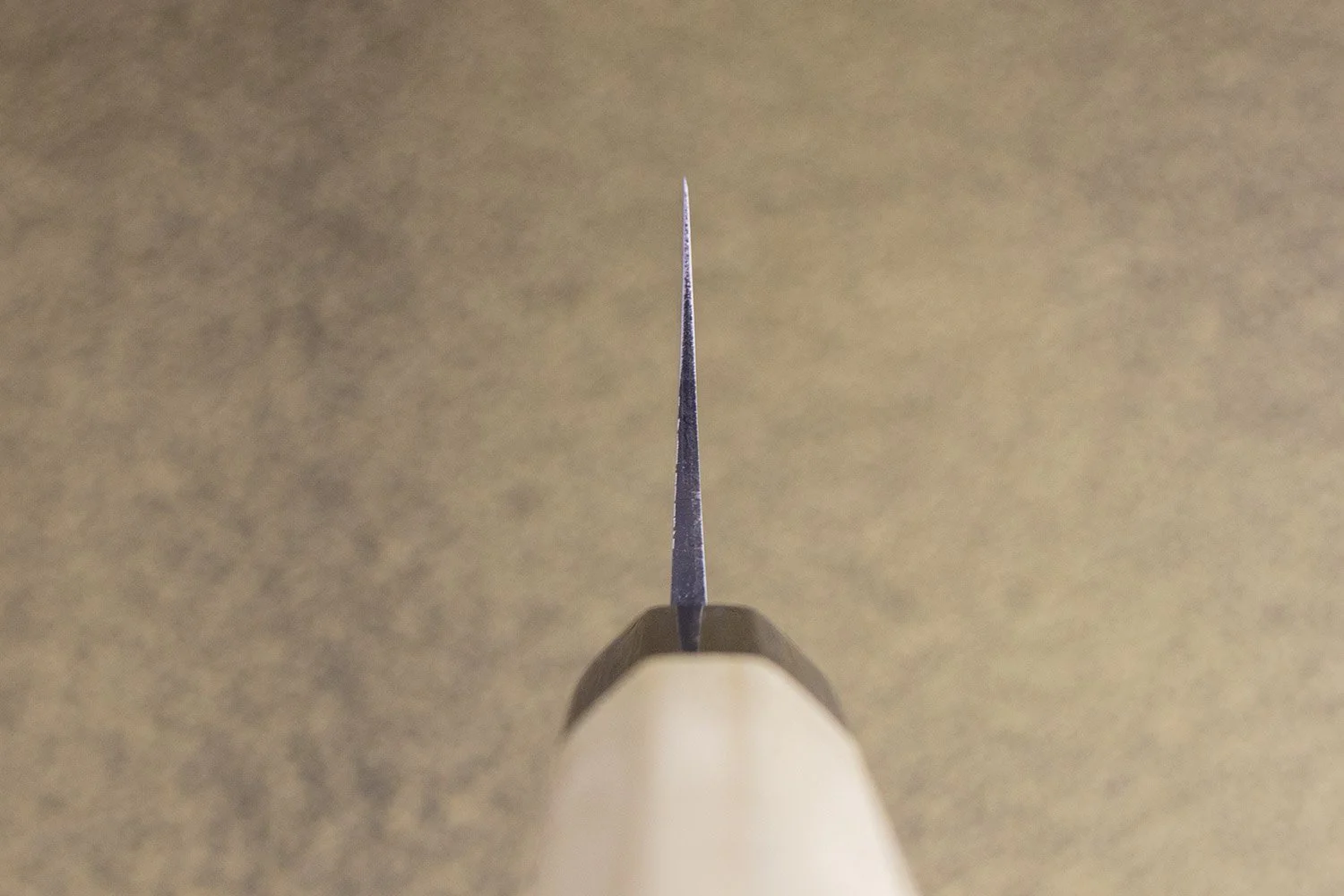 Masakage Shimo Gyuto 210mm - Image 3