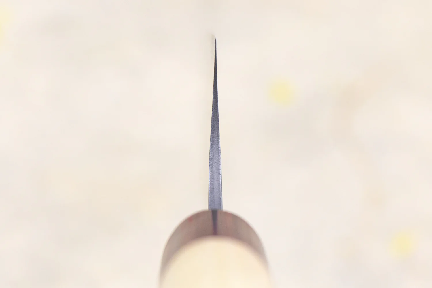 Masakage Yuki Gyuto 210mm - Image 3