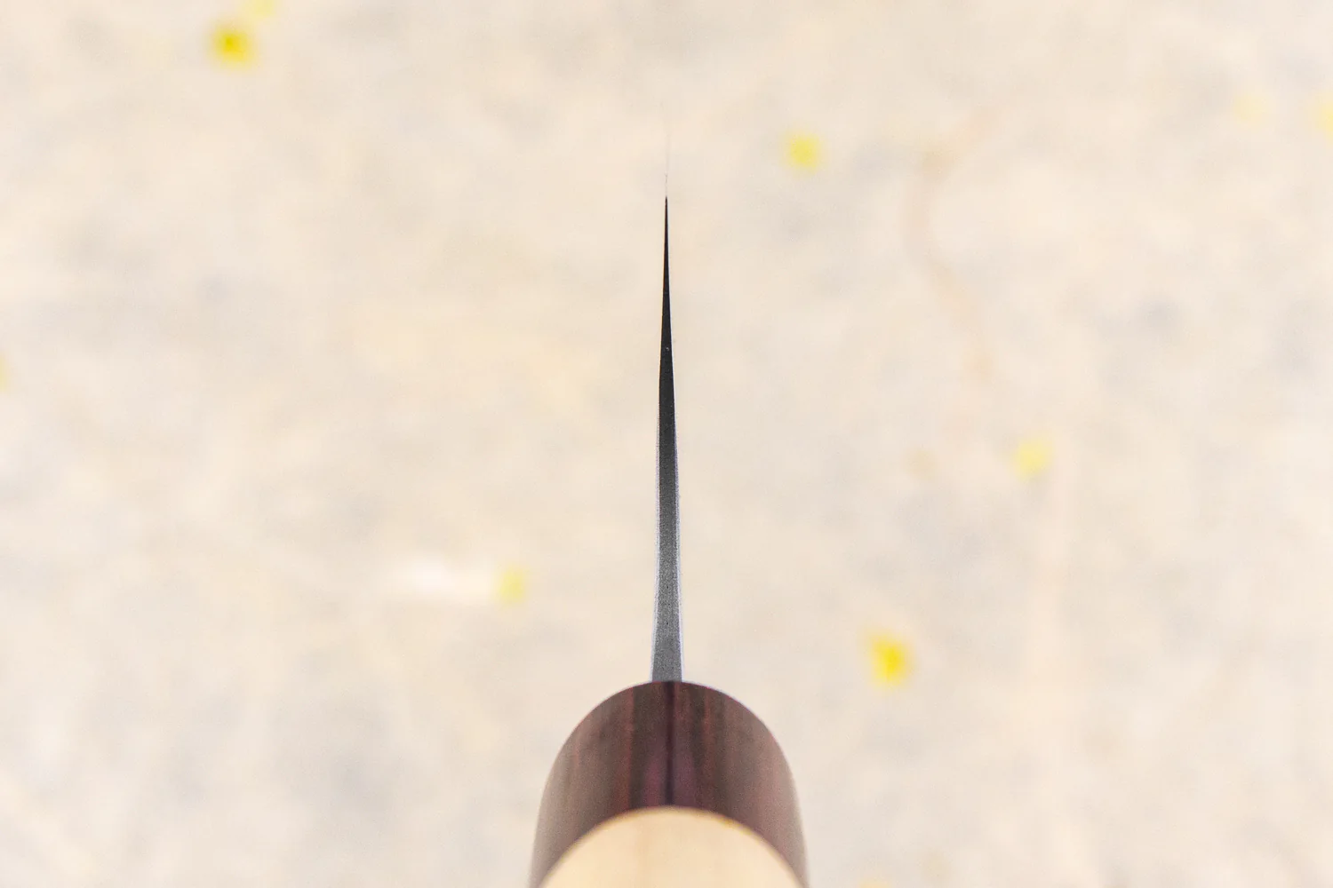 Masakage Yuki Gyuto 240mm - Image 3