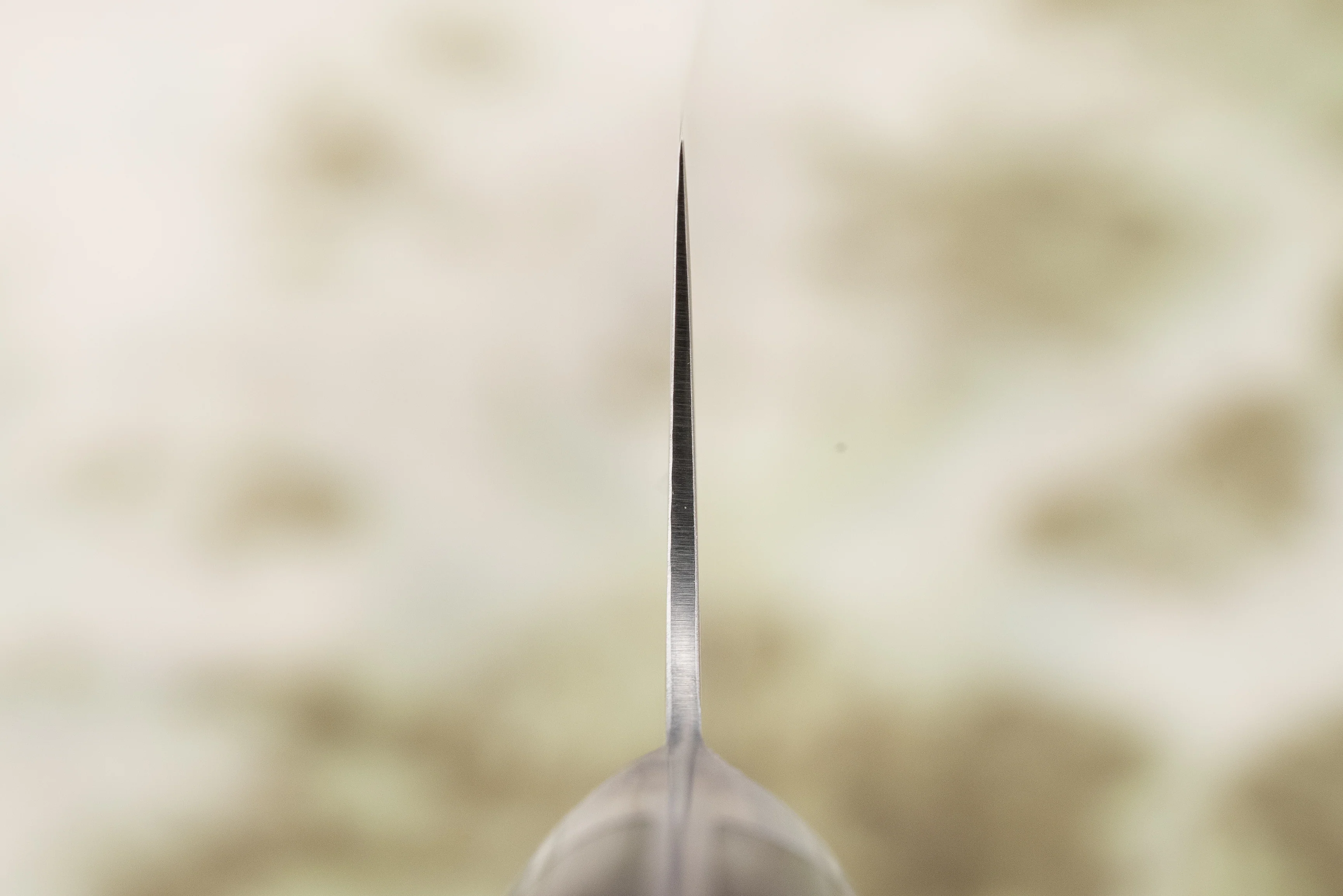 Mikuri Ume Western Gyuto 210mm - Image 3