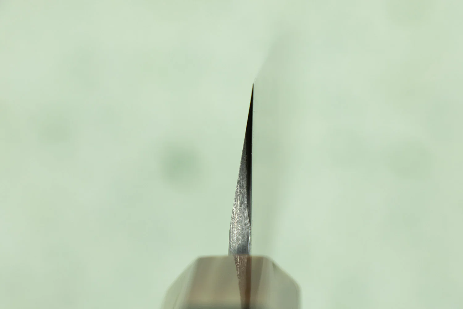 Nigara Anmon Aogami Damascus Sakimaru Takobiki 330mm - Image 4