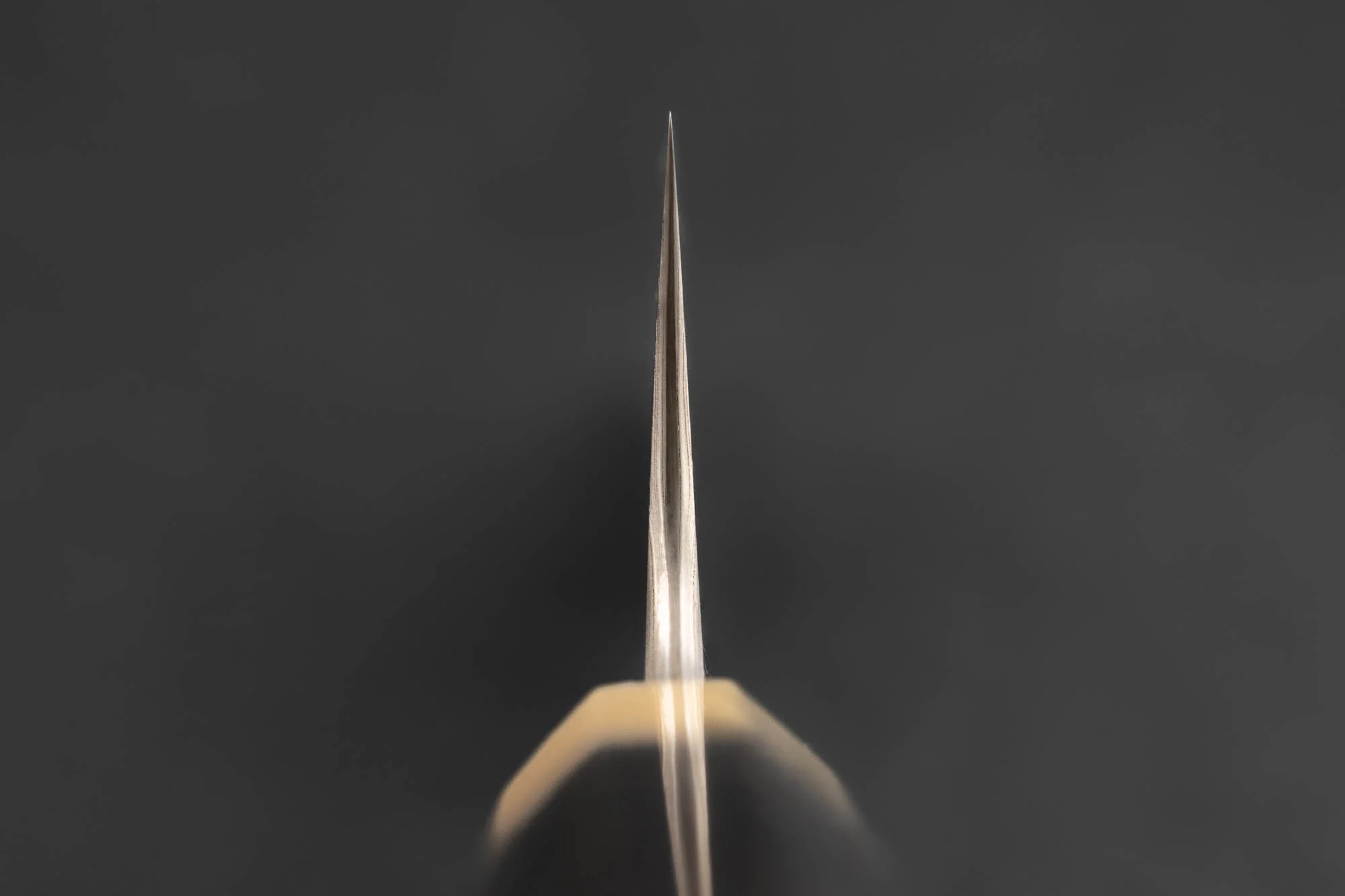 Nigara Aogami Troll Killer Damascus Gyuto 240mm - Image 5