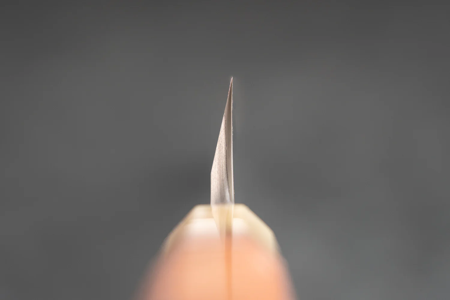 Nigara Aogami Troll Killer Damascus Sakimaru Yanagiba 300mm - Image 4