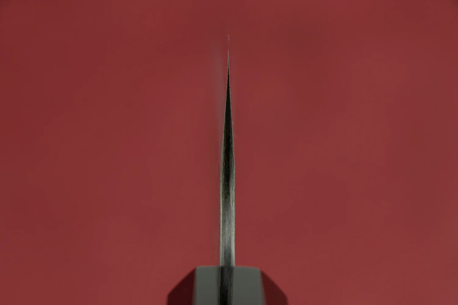 Nigara AS/S Tsuchime Kiritsuke Gyuto 210mm - Image 3