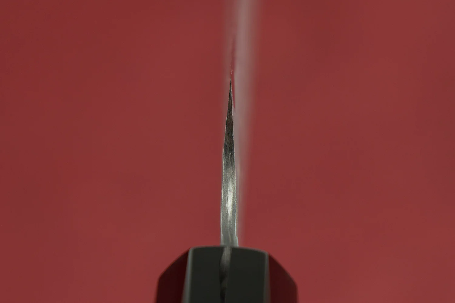 Nigara AS/S Tsuchime Kiritsuke Sujihiki 255mm - Image 3