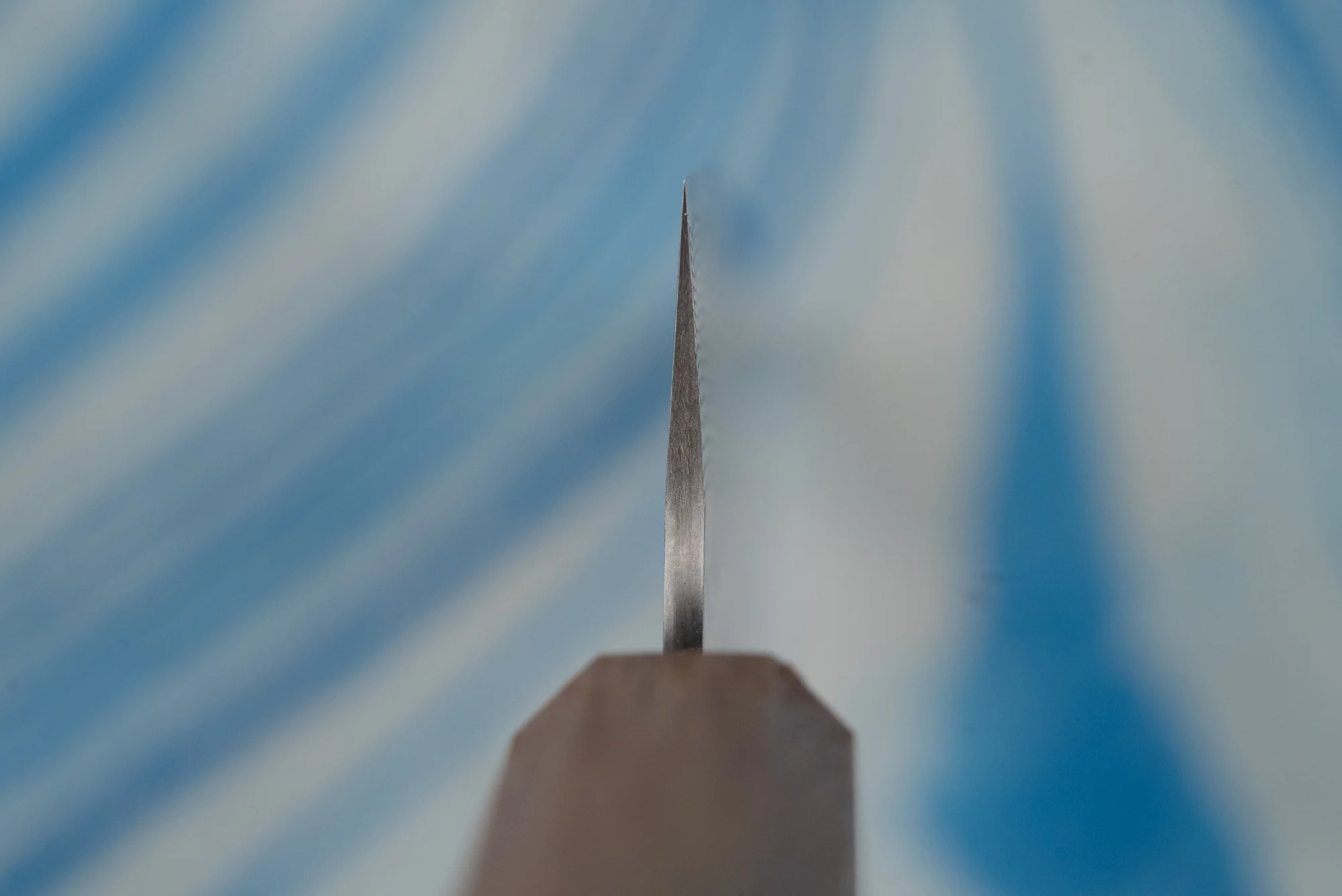 Nigara SPG STRIX Tsuchime Damascus Petty 150mm - Image 3