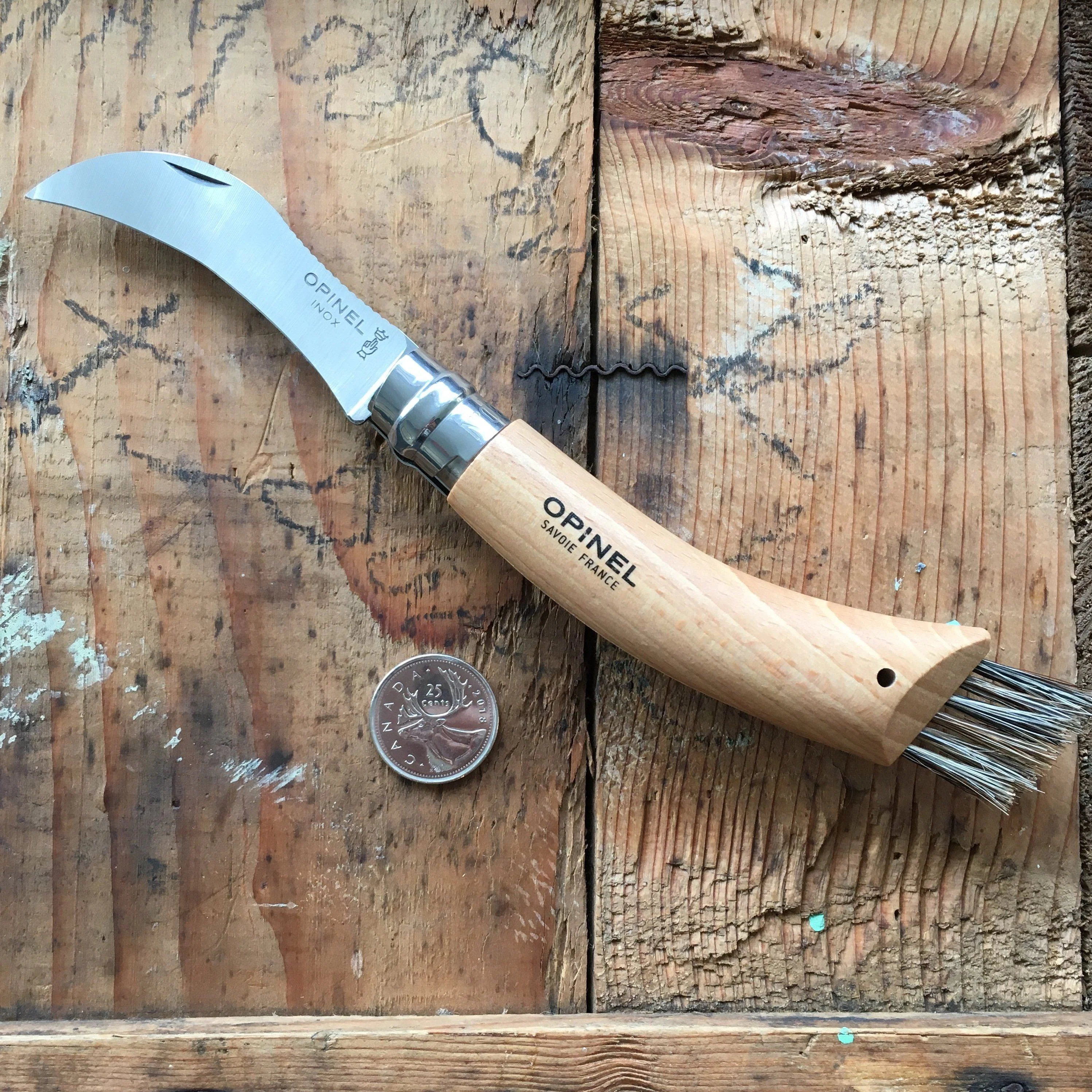 Opinel Inox No.08 Folding Mushroom Hunter’s Knife with Brush - Image 2