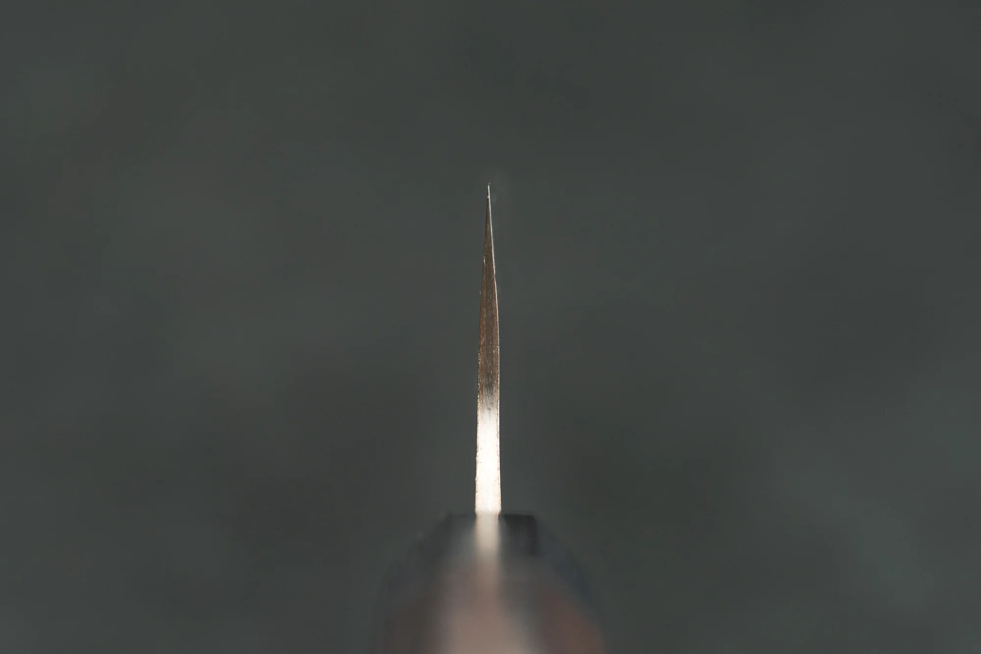 Takeshi Saji A2 Rainbow Damascus Wa Gyuto 180mm - Image 3