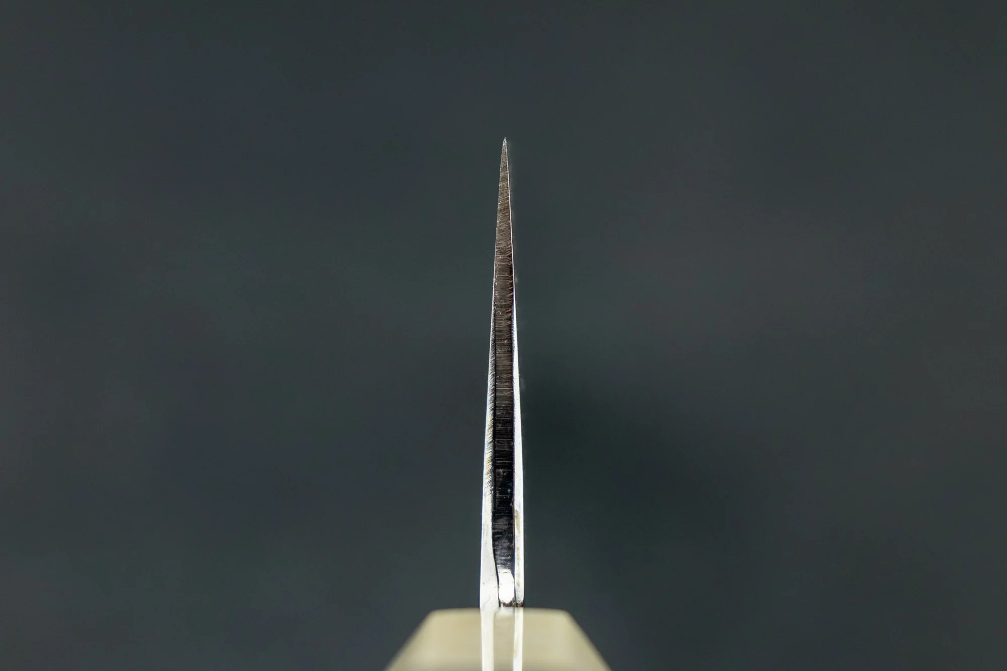 Sakai Kikumori Shiroichi Kyomen Sakachoji Honyaki Gyuto 240mm - Image 4
