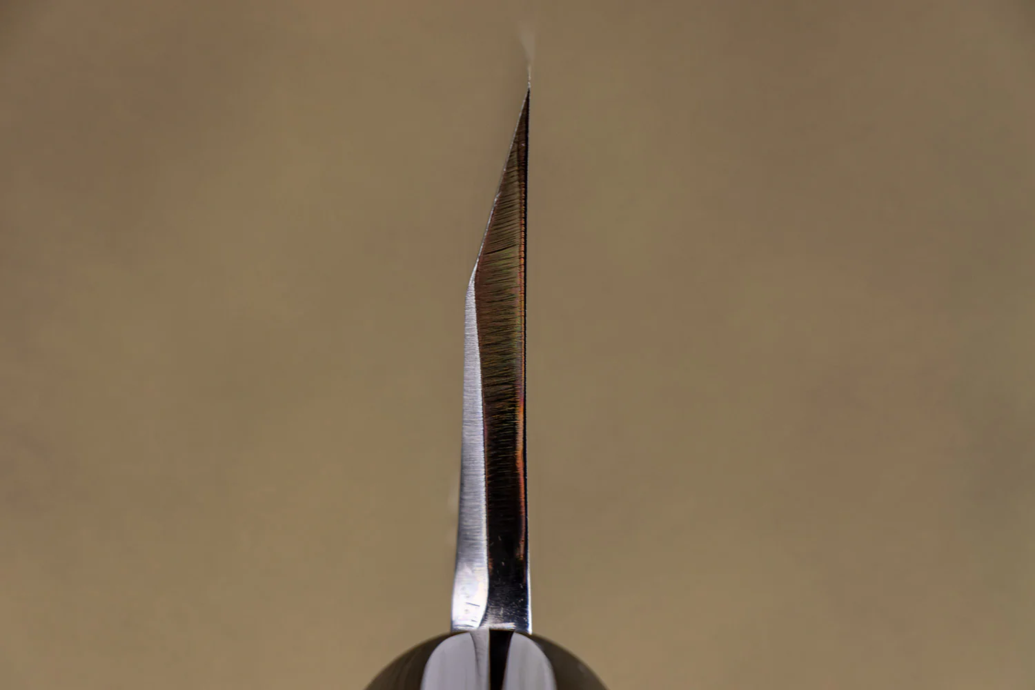 Sakai Kikumori Tomoshibi Deba 180mm - Image 4