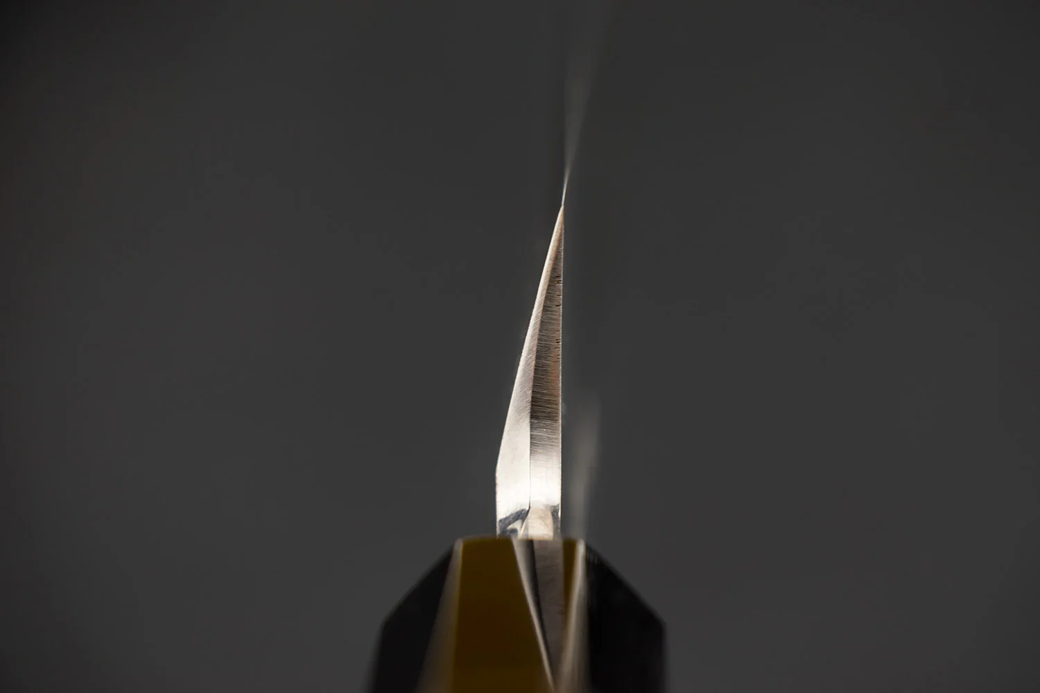 Sakai Takayuki Byakko Yanagiba 330mm - Image 3