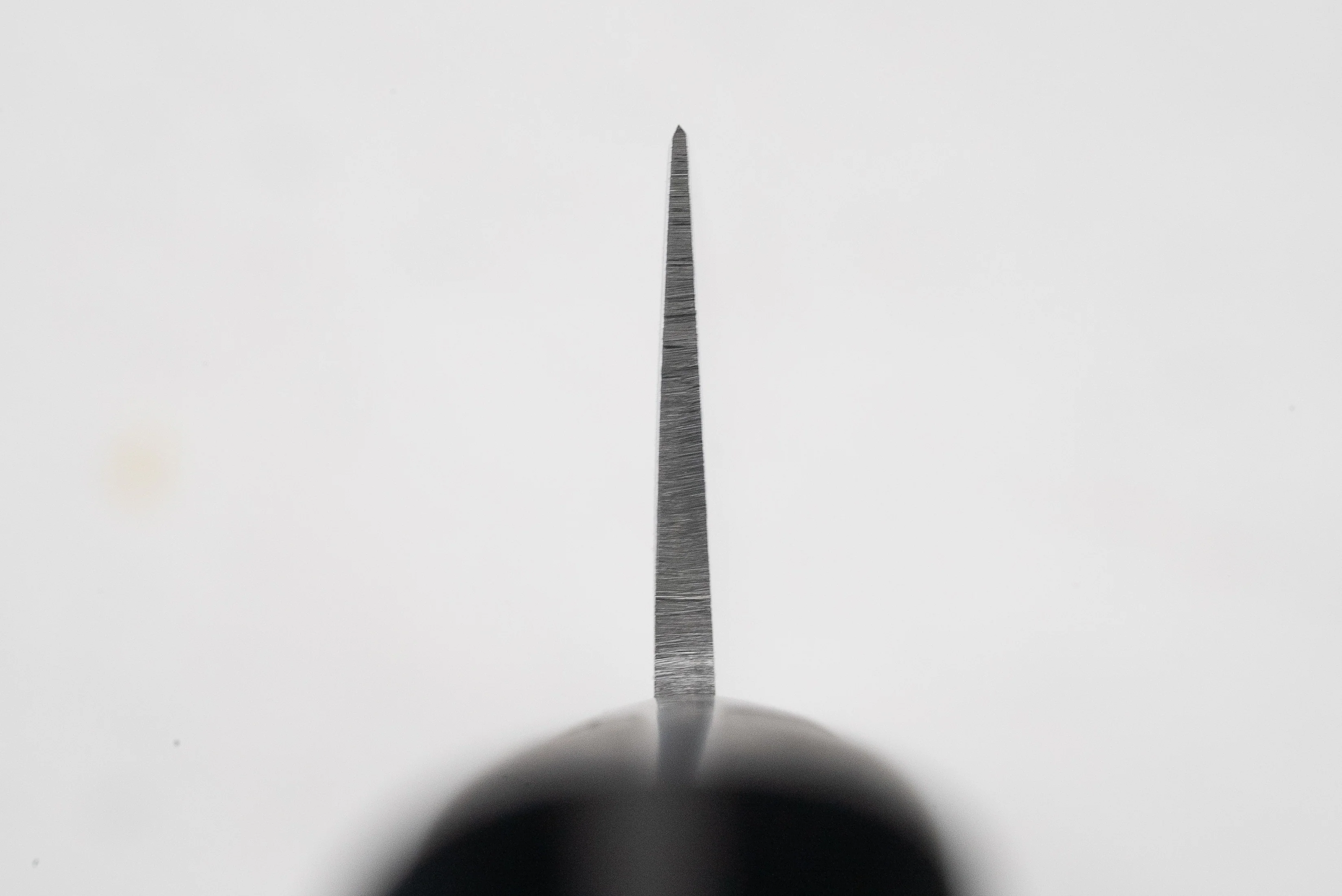 Sakai Takayuki INOX Honesuki 150mm - Image 3