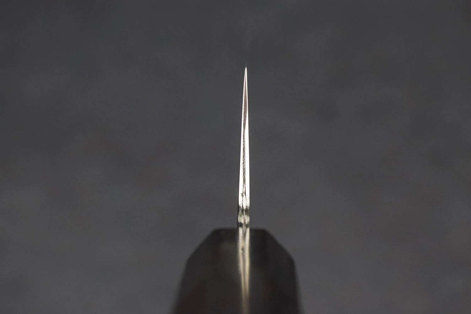 Sakai Takayuki Shironi Honyaki Gyuto 210mm - Image 6