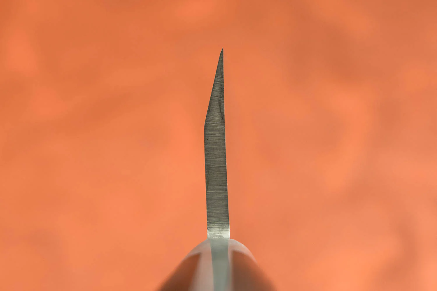 Sakai Takayuki SK4 Garasuki 180mm - Image 3