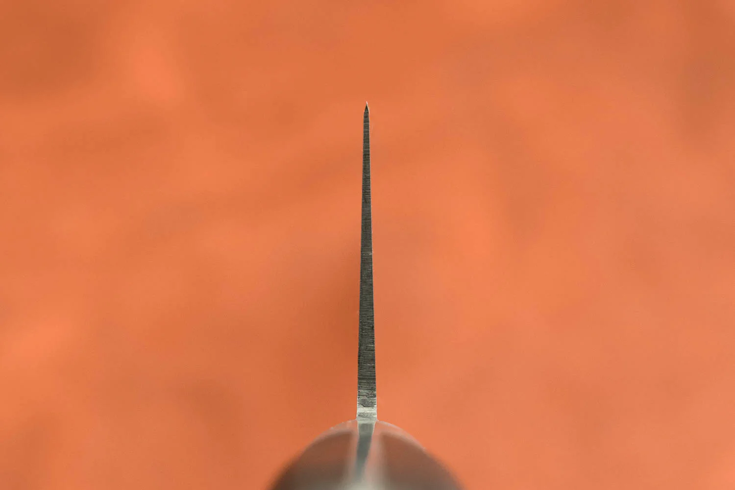 Sakai Takayuki SK4 Gyuto 240mm - Image 3