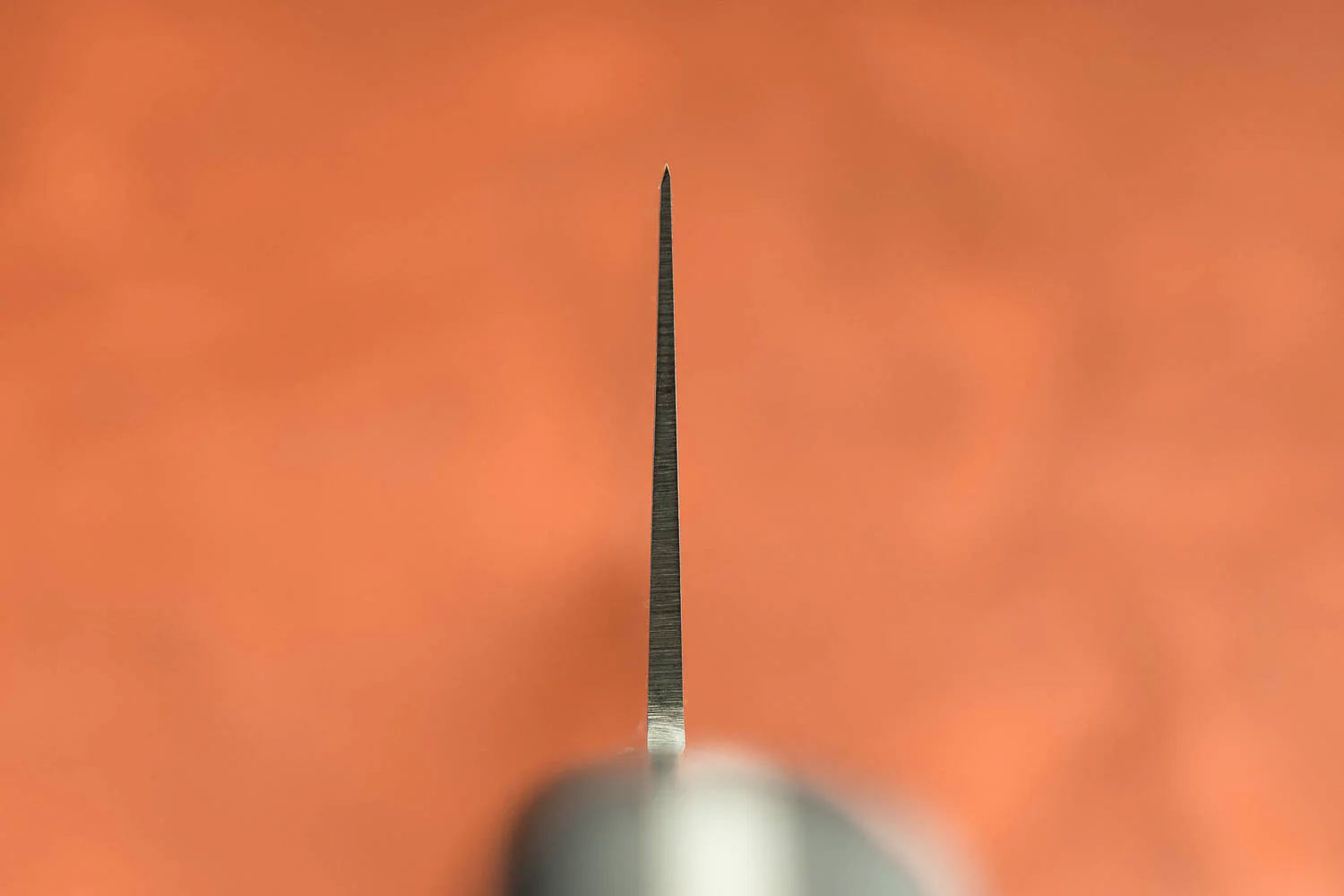 Sakai Takayuki SK4 Gyuto 270mm - Image 3