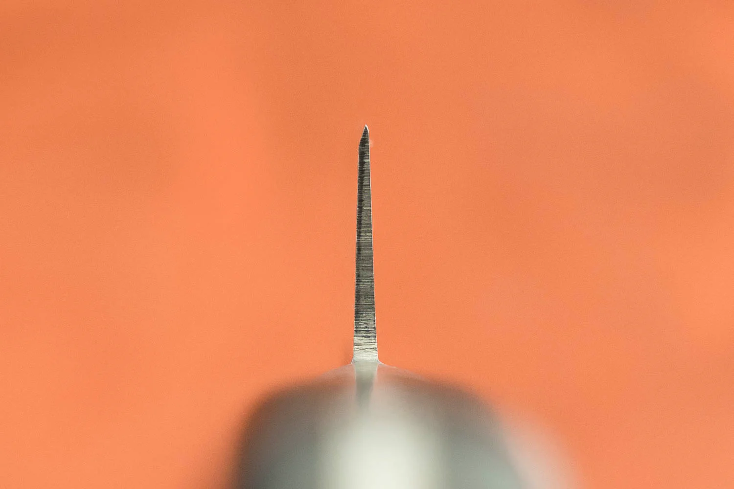Sakai Takayuki SK4 Petty 120mm - Image 3