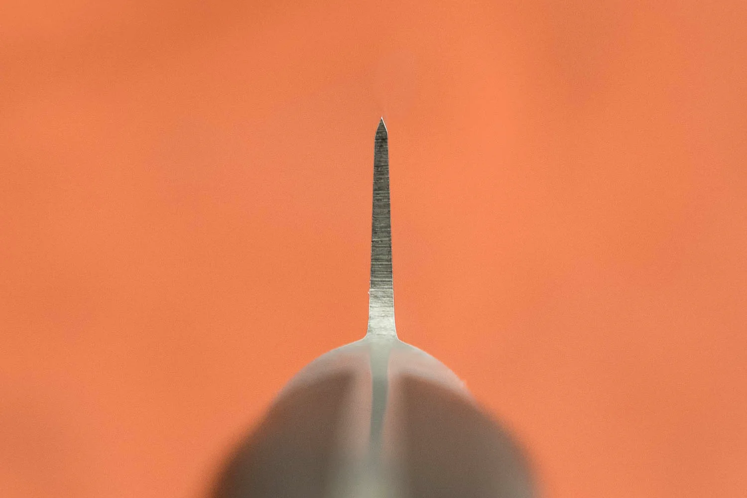 Sakai Takayuki SK4 Sujihiki 210mm - Image 3