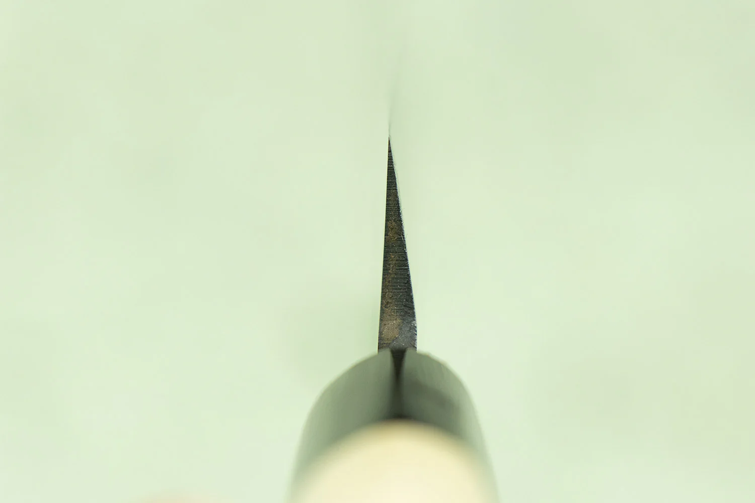 Sakai Takayuki Suigyu Kasumitogi Left Handed Yanagiba 240mm - Image 4