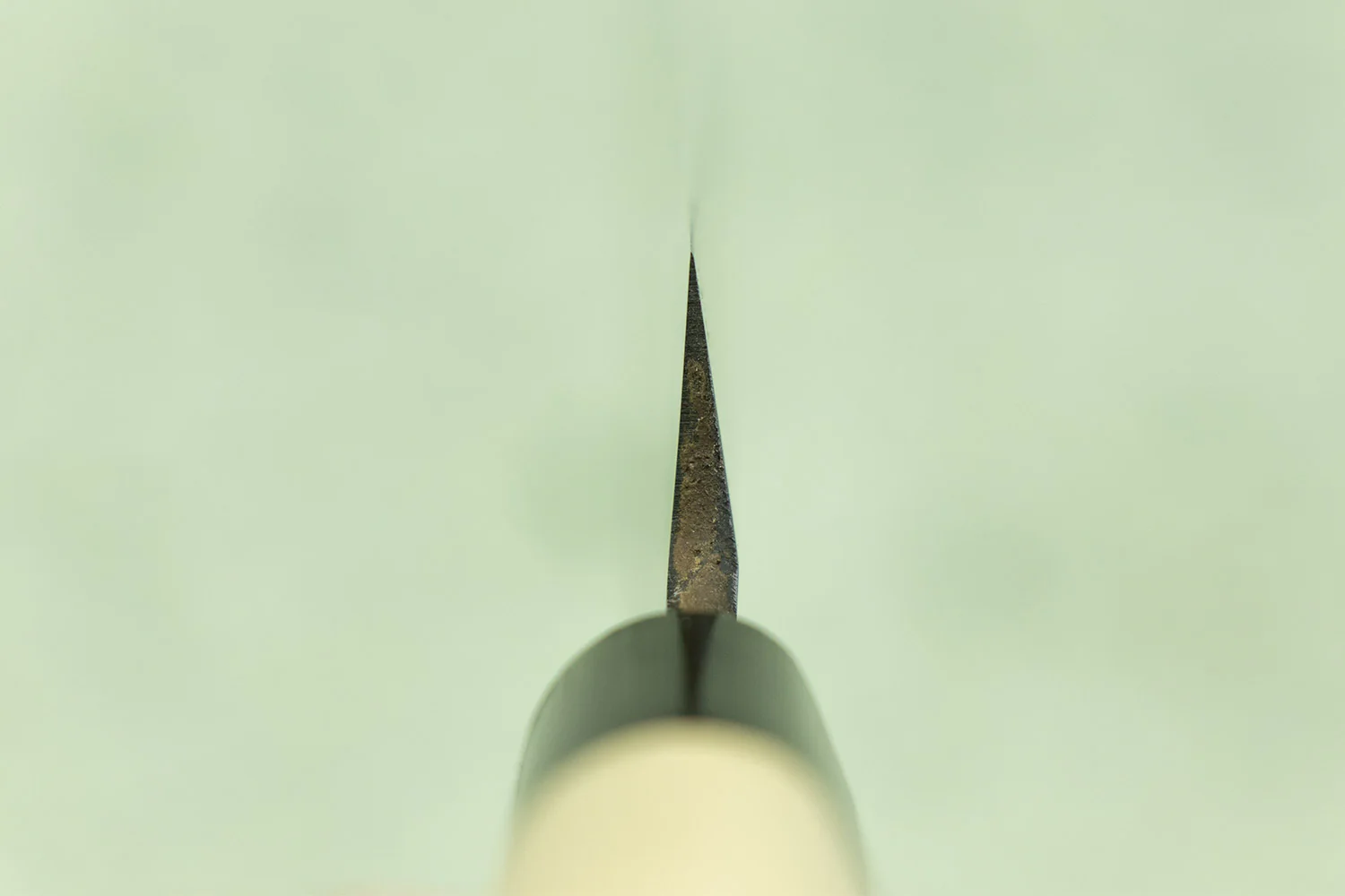 Sakai Takayuki Suigyu Kasumitogi Left Handed Yanagiba 270mm - Image 4