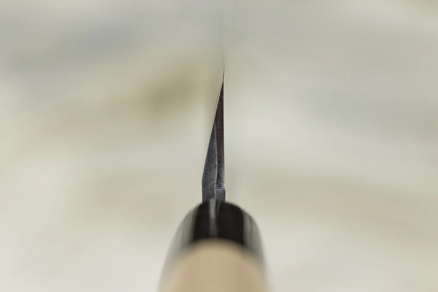 Sakai Takayuki Uzushio Yanagiba 240mm - Image 4