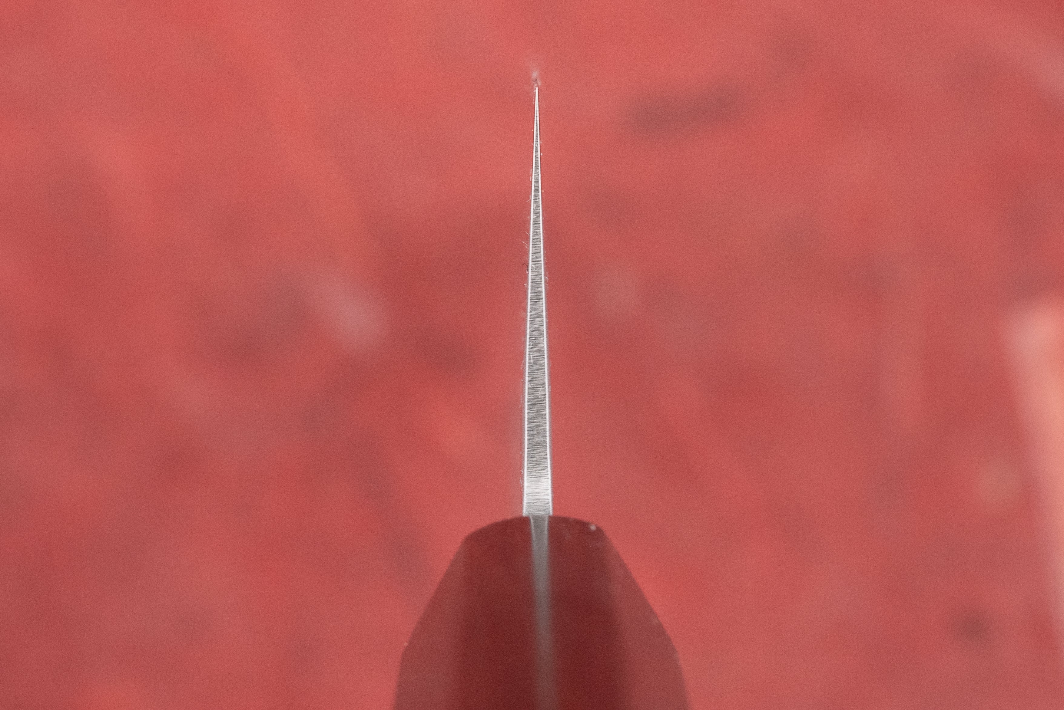 Sakai Takayuki VG10 Nashiji Santoku 170mm - Image 3