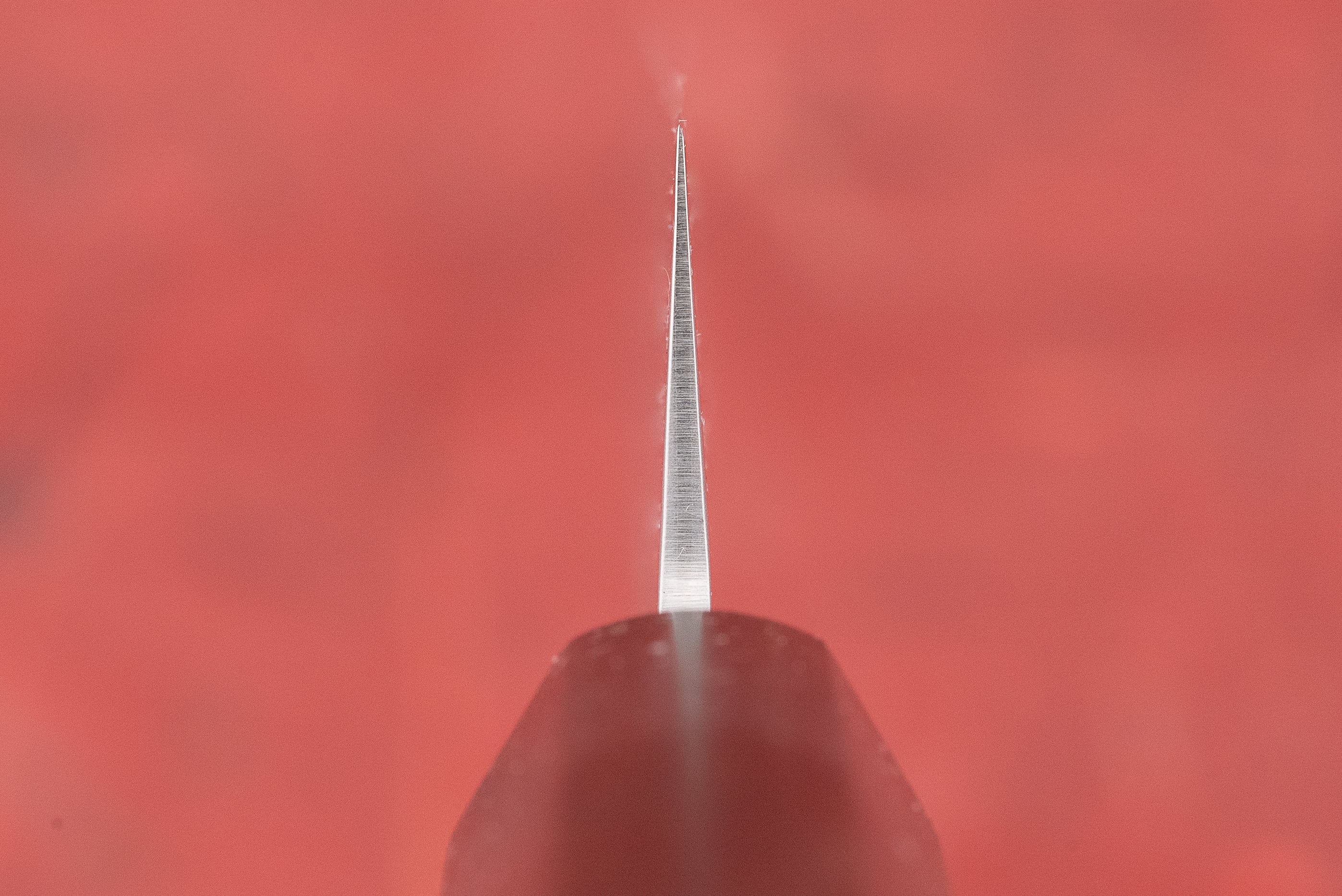 Sakai Takayuki VG10 Nashiji Sujihiki 240mm - Image 3
