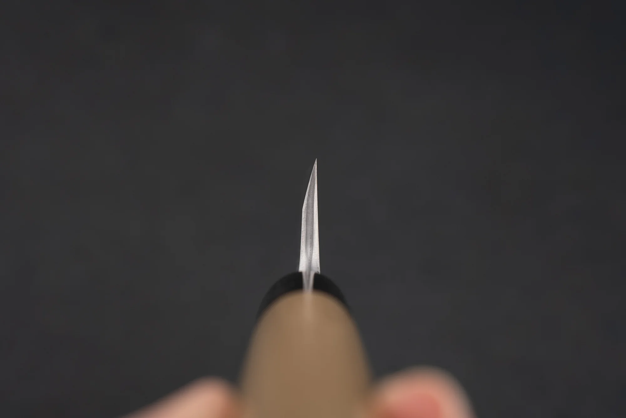Shigefusa Kitaeji Deba 150mm - Image 3