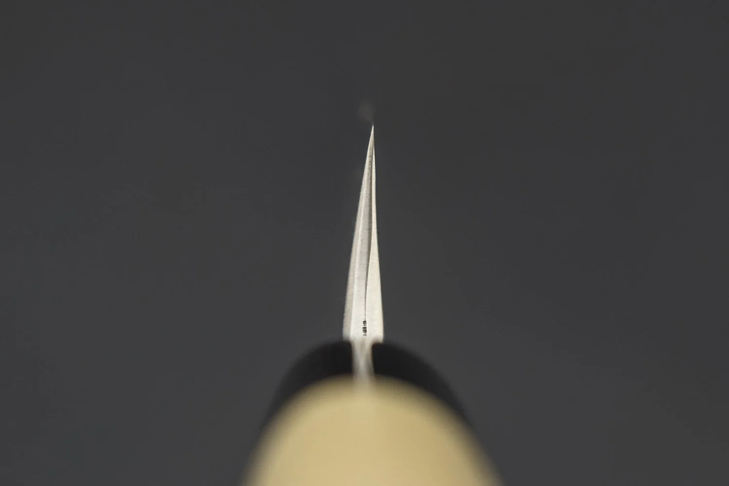 Shigefusa Kitaeji Yanagiba 240mm - Image 6