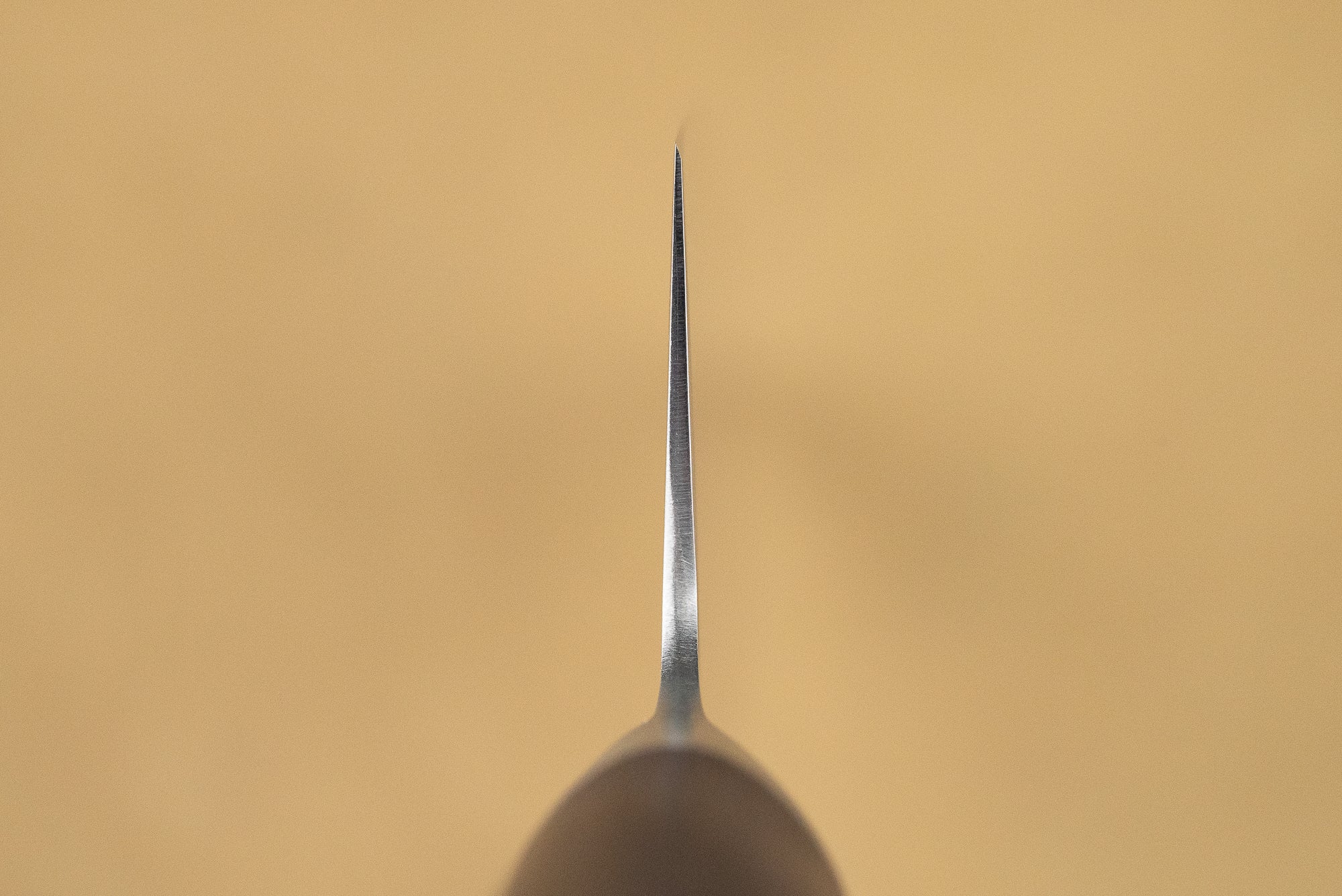 Shizu Hamono Shikisai Miyako Gyuto 210mm - Image 3